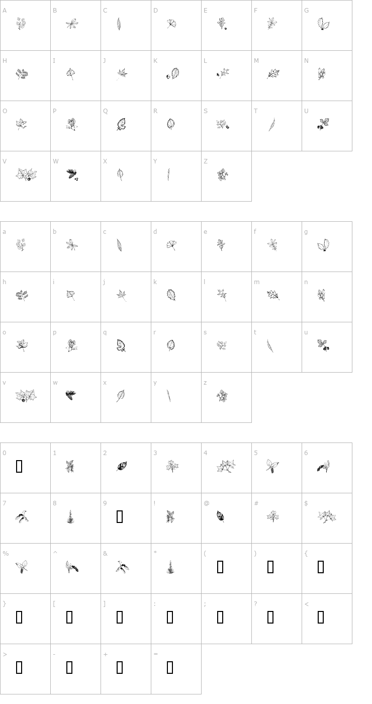 Character Map Arboris Folium Font