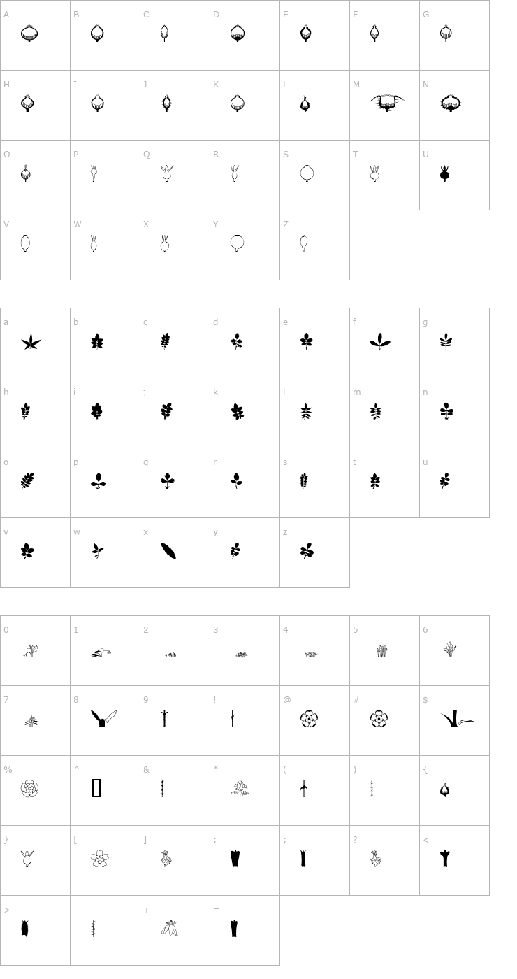 Character Map BOTAROSA1 Font