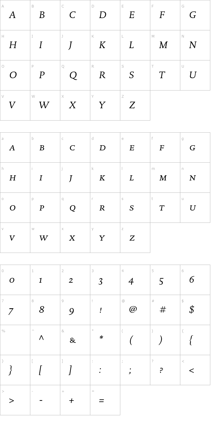 Character Map DTLDocumentaT-CapsItalic Font