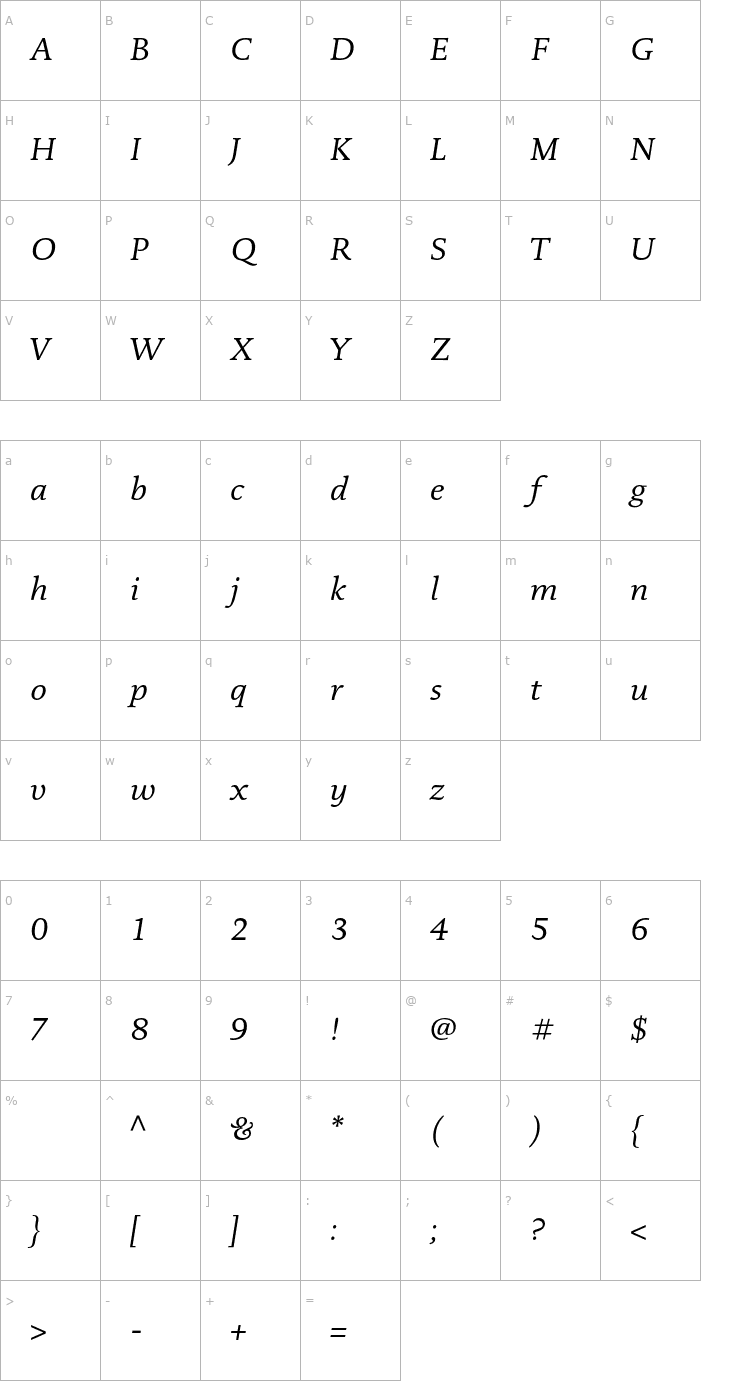 Character Map DTLDocumentaT-Italic Font