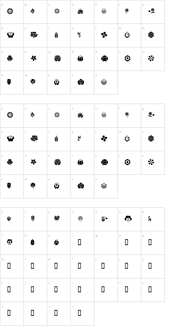 Character Map Kalocsai Flowers Font