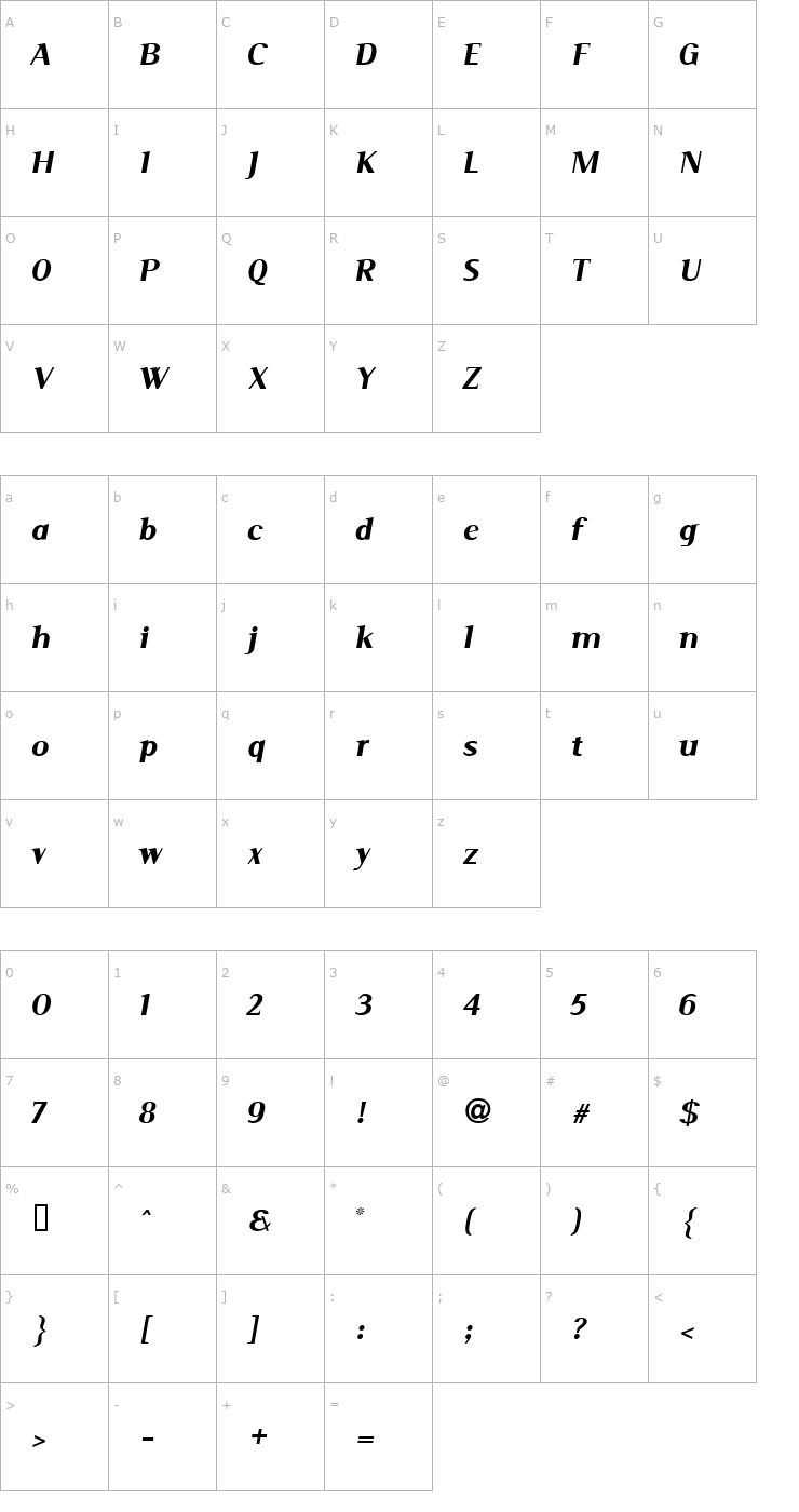 Character Map Serif Medium Italic Font