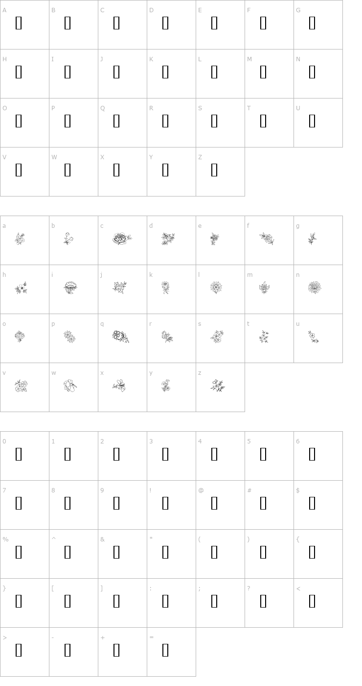 Character Map Traditional Floral Design II Font