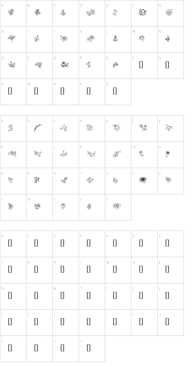 Character Map Traditional Floral Design III Font