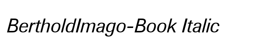 BertholdImago-Book Italic