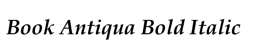 Book Antiqua Bold Italic