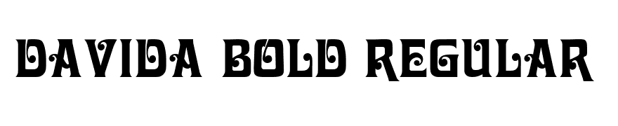 Davida Bold Regular