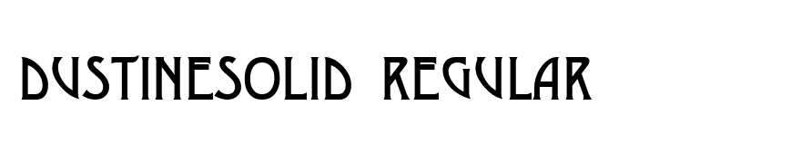 DustineSolid Regular