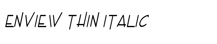 Enview Thin Italic