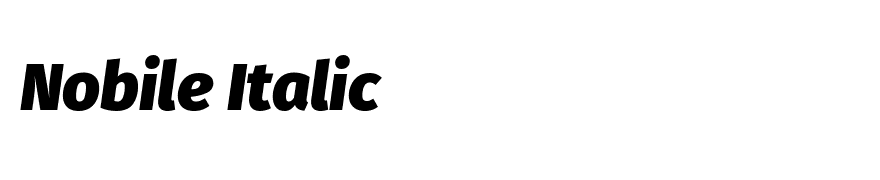 Fira Sans Black Italic