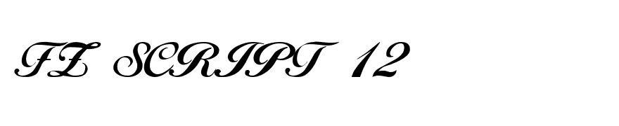 FZ SCRIPT 12