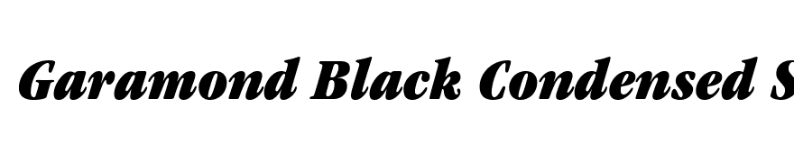 Garamond Black Condensed SSi Black Condensed Italic