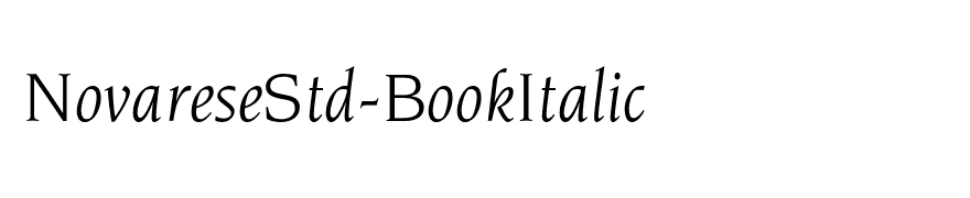 NovareseStd-BookItalic