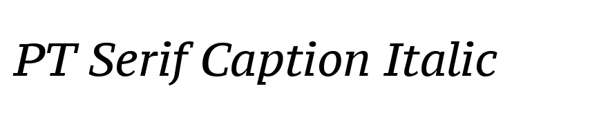 PT Serif Caption Italic