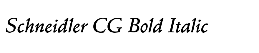 Schneidler CG Bold Italic