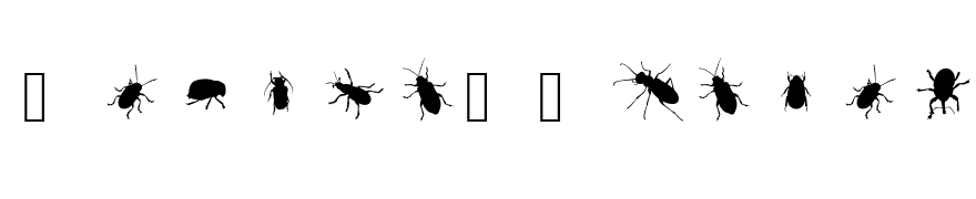 The Beetles