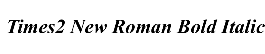 Times2 New Roman Bold Italic Turkce