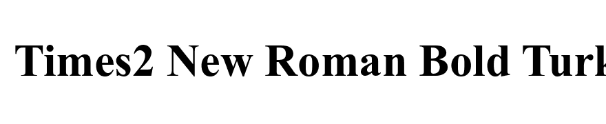 Times2 New Roman Bold Turkce