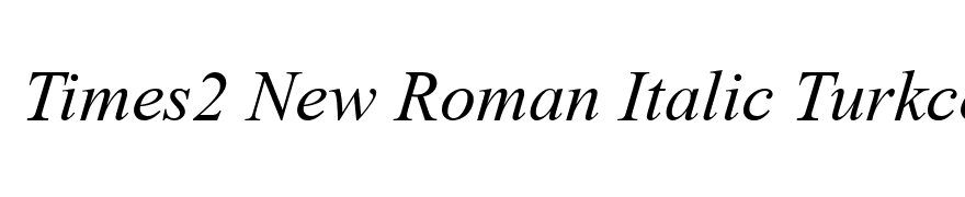 Times2 New Roman Italic Turkce